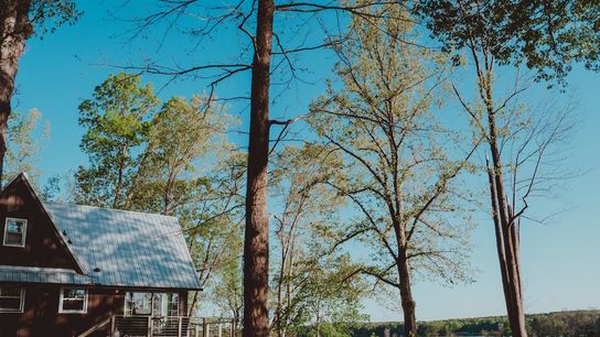 Tax Amnesty Program Creates Financial Opportunity for Homeowners Planning a Move